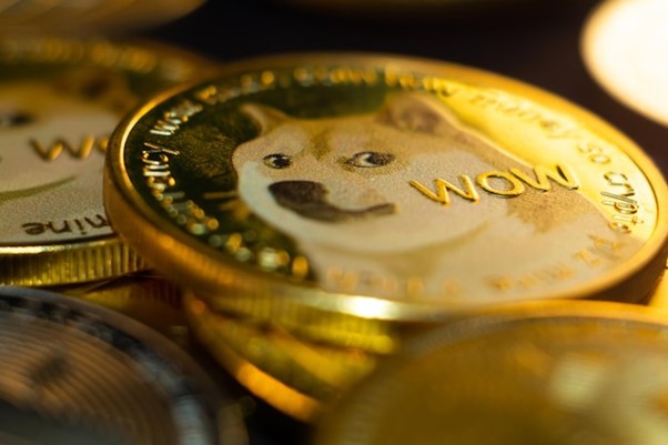 【仮想通貨】柴犬コインの将来性は？今後一円になるって本当？