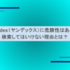 Yandex（ヤンデックス）に危険性はある？検索してはいけない理由とは？