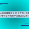 Twitterの画像検索サイトが便利って本当？人物特定の精度や注意点まとめ！